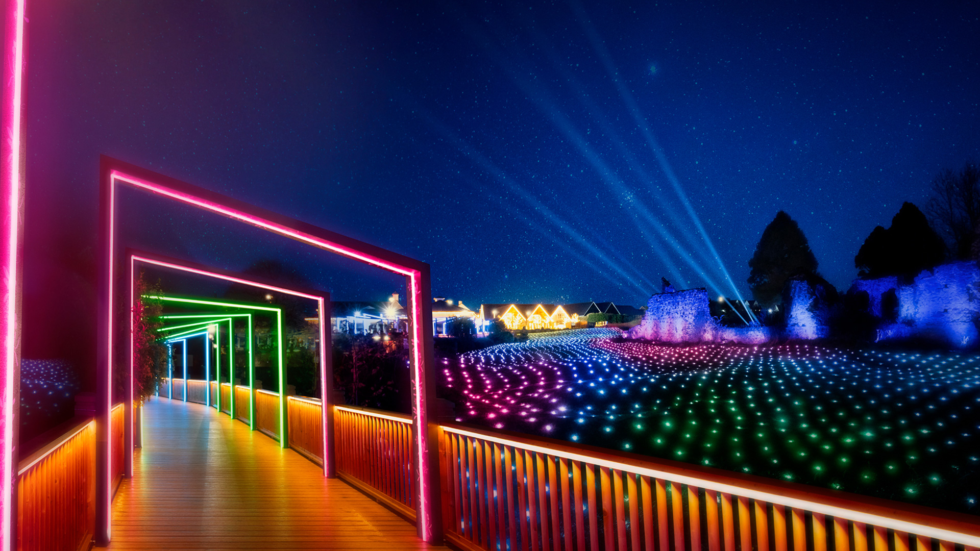 Enchanted Lights